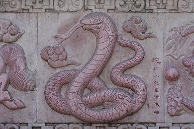 全新预告 《星之卡比：飞天骑士》11月登陆Switch2